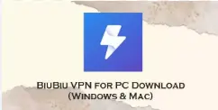 Biubiu VPN for PC